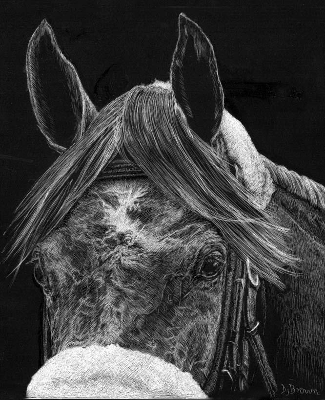 Scratchboard, Scratchboard Art, How to Draw on Scratchboard, Lee Hammond